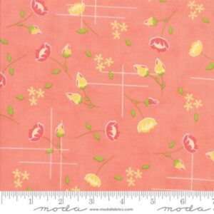 lulu-lane-peach-floral-meadow-29021-14 corey yoder