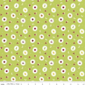 Sweet Orchard Scallop Green c5482 Sedef Imer