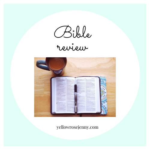Bible-review-yellow-rose-jenny-NIV-lifehacks-bible