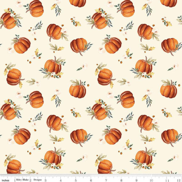 Shades-of-Autumn-Pumpkin-C13471-CREAM My Mind's Eye Pumpkins